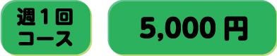 週一回コース、月額5,000円